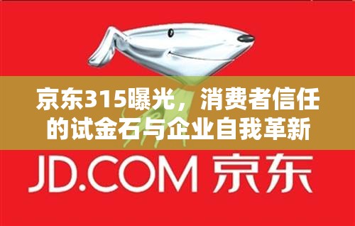 京東315曝光，消費者信任的試金石與企業(yè)自我革新的契機
