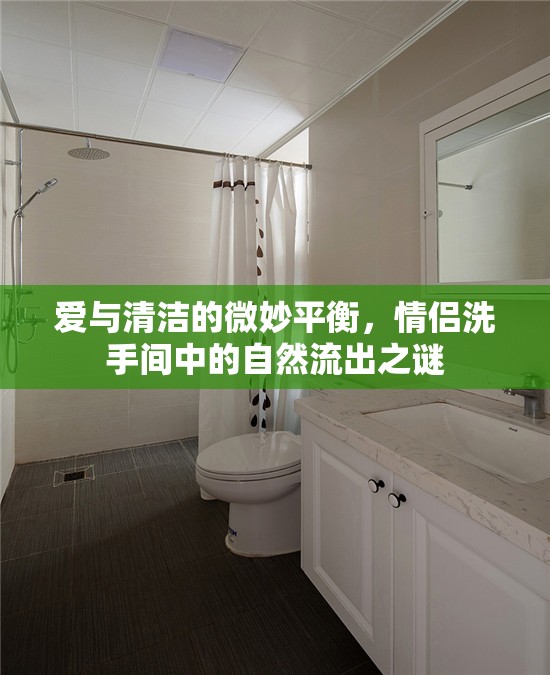愛(ài)與清潔的微妙平衡，情侶洗手間中的自然流出之謎