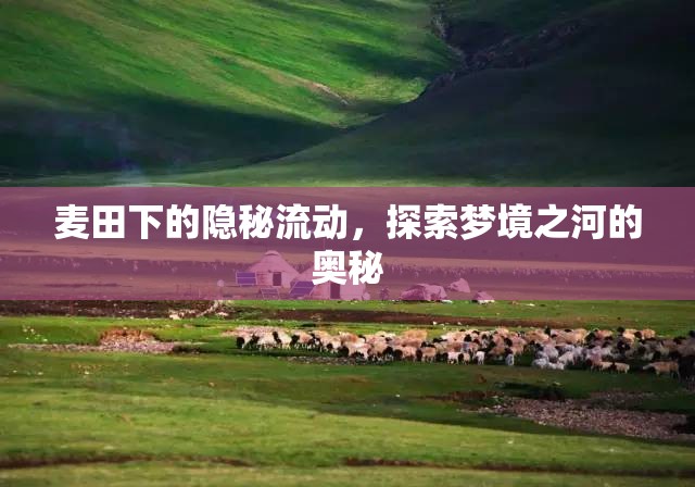 麥田下的隱秘流動(dòng)，探索夢(mèng)境之河的奧秘