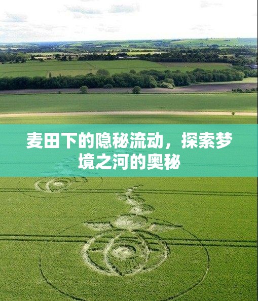 麥田下的隱秘流動(dòng)，探索夢(mèng)境之河的奧秘