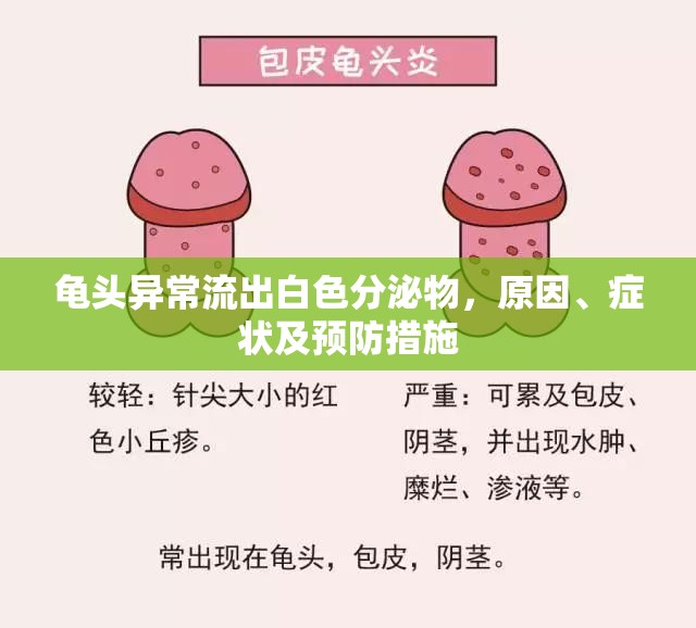 龜頭異常流出白色分泌物，原因、癥狀及預(yù)防措施