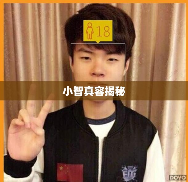 小智真容揭秘