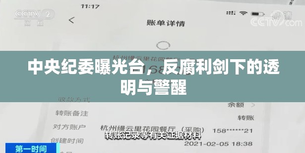 中央紀委曝光臺，反腐利劍下的透明與警醒