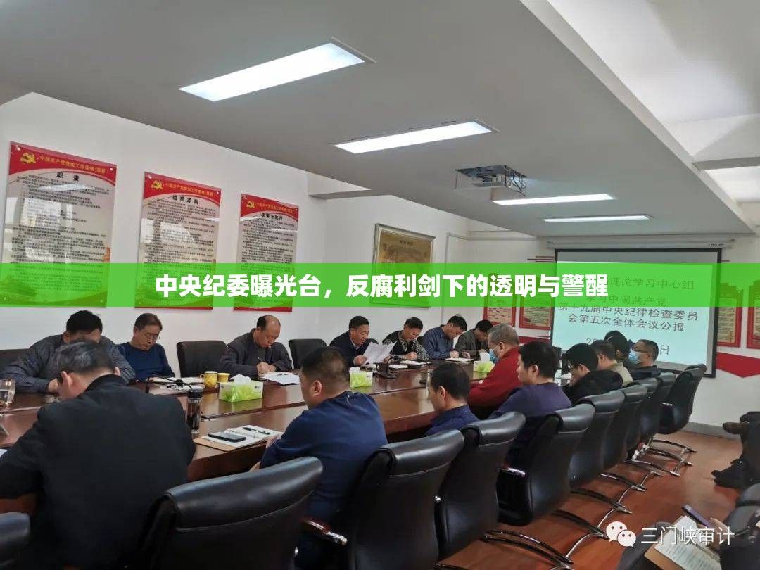 中央紀委曝光臺，反腐利劍下的透明與警醒