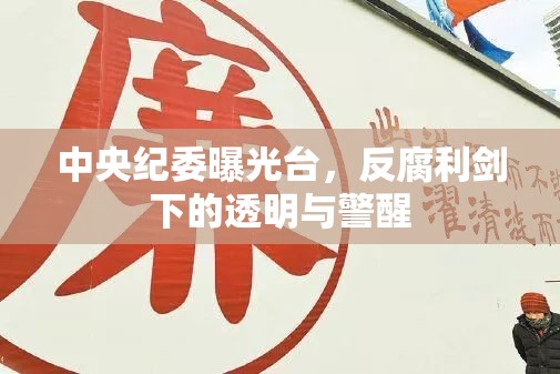 中央紀委曝光臺，反腐利劍下的透明與警醒