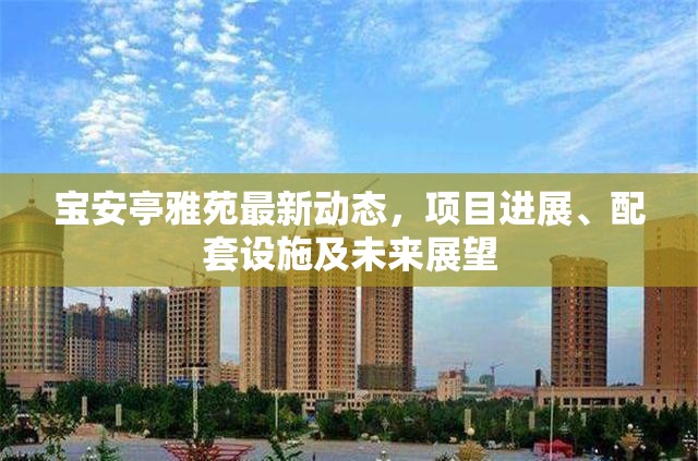寶安亭雅苑最新動態(tài)，項目進展、配套設(shè)施及未來展望