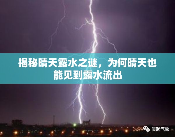 揭秘晴天露水之謎，為何晴天也能見到露水流出