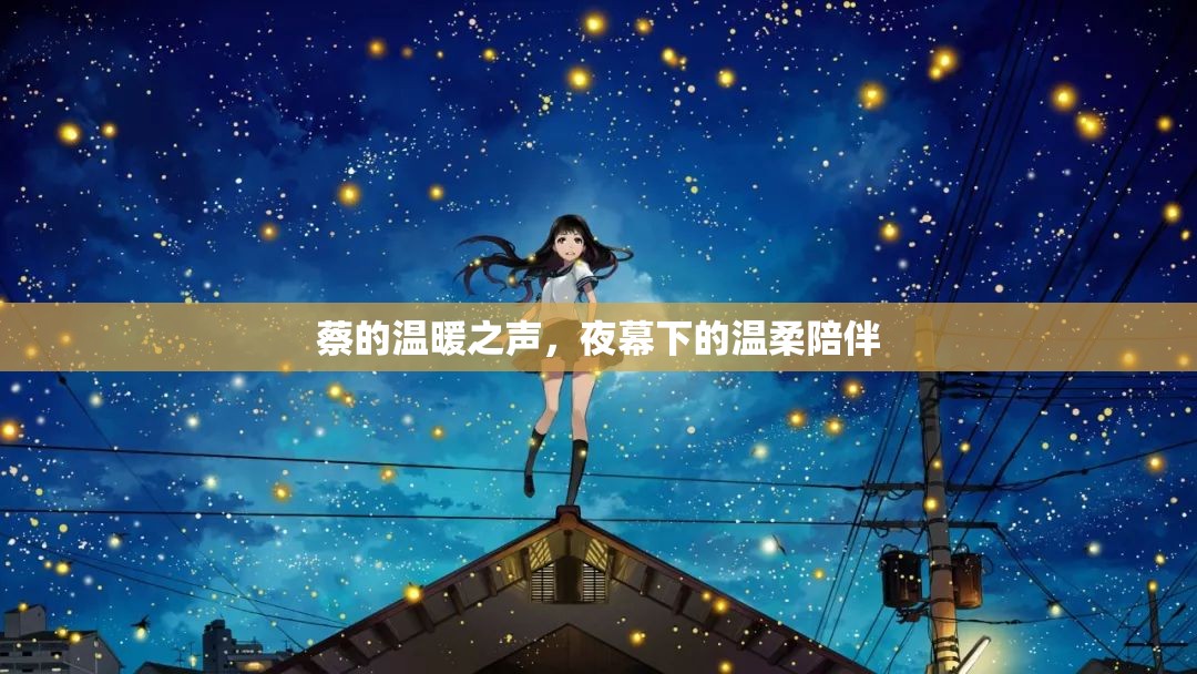 蔡的溫暖之聲，夜幕下的溫柔陪伴