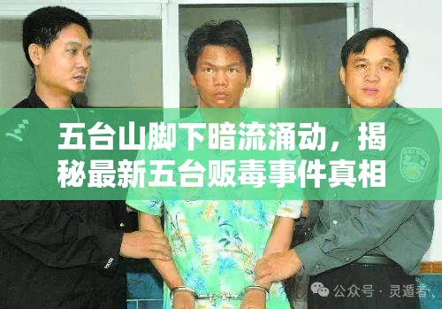 五臺山腳下暗流涌動，揭秘最新五臺販毒事件真相