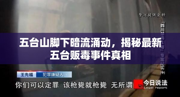 五臺山腳下暗流涌動，揭秘最新五臺販毒事件真相
