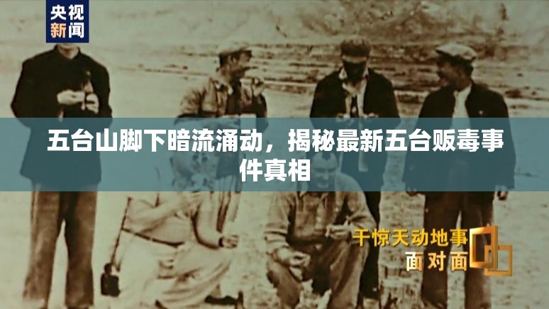 五臺山腳下暗流涌動，揭秘最新五臺販毒事件真相