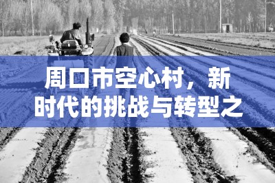周口市空心村，新時(shí)代的挑戰(zhàn)與轉(zhuǎn)型之路