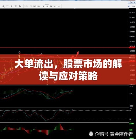 大單流出，股票市場的解讀與應(yīng)對策略