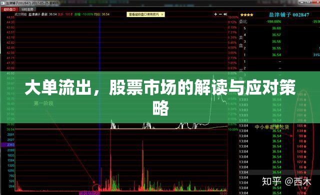 大單流出，股票市場的解讀與應(yīng)對策略