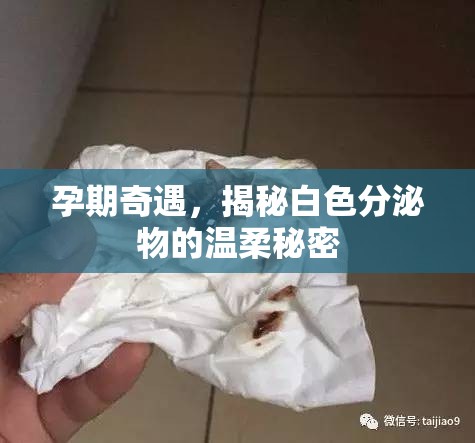 孕期奇遇，揭秘白色分泌物的溫柔秘密