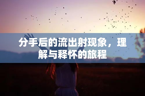 分手后的流出射現(xiàn)象，理解與釋懷的旅程