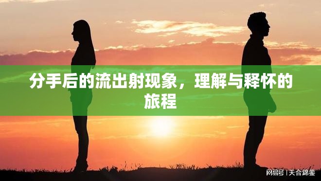 分手后的流出射現(xiàn)象，理解與釋懷的旅程
