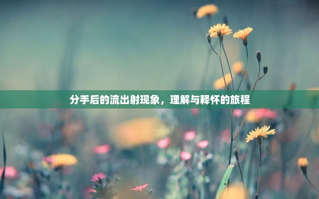 分手后的流出射現(xiàn)象，理解與釋懷的旅程