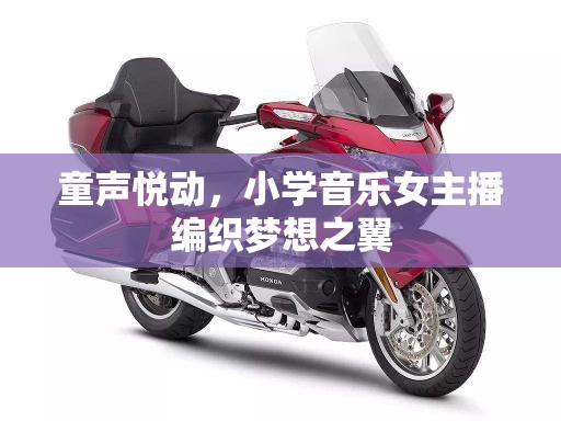童聲悅動(dòng)，小學(xué)音樂(lè)女主播編織夢(mèng)想之翼
