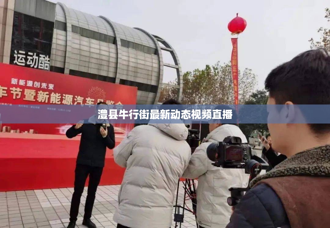 澧縣牛行街最新動態(tài)視頻直播