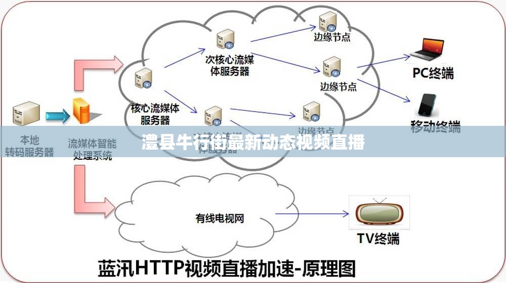 澧縣牛行街最新動態(tài)視頻直播