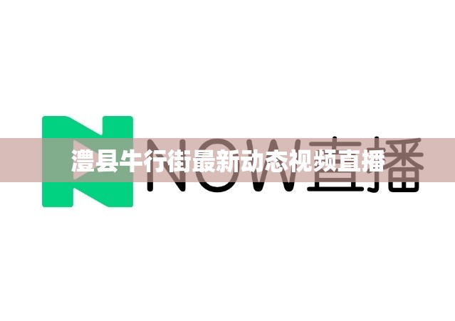 澧縣牛行街最新動態(tài)視頻直播