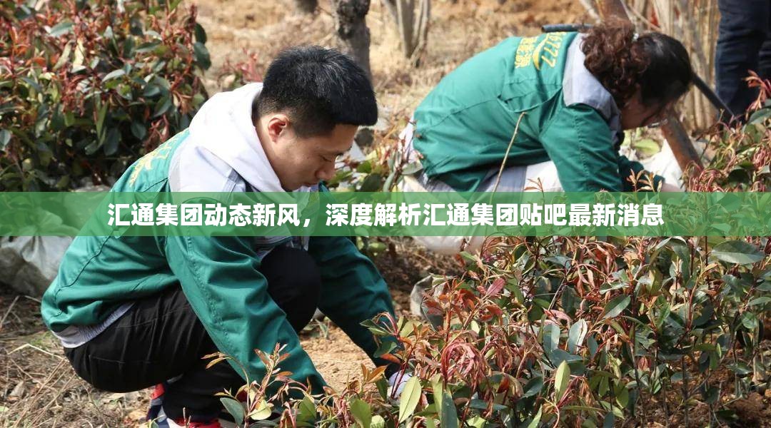 匯通集團(tuán)動態(tài)新風(fēng)，深度解析匯通集團(tuán)貼吧最新消息