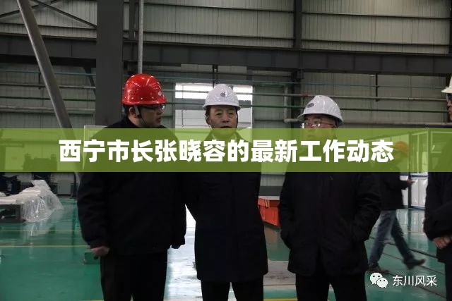 西寧市長張曉容的最新工作動(dòng)態(tài)