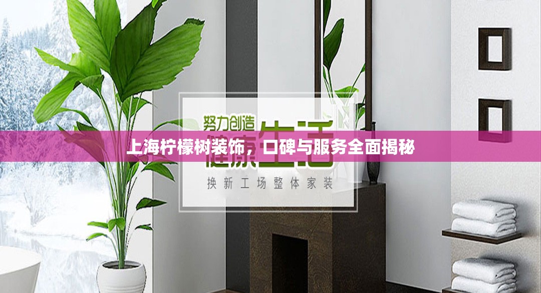 上海檸檬樹裝飾，口碑與服務(wù)全面揭秘