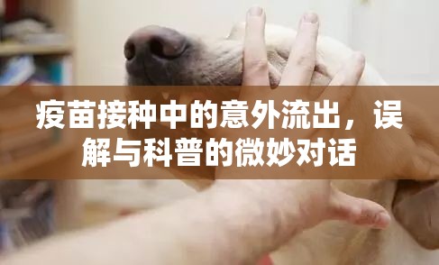 疫苗接種中的意外流出，誤解與科普的微妙對話