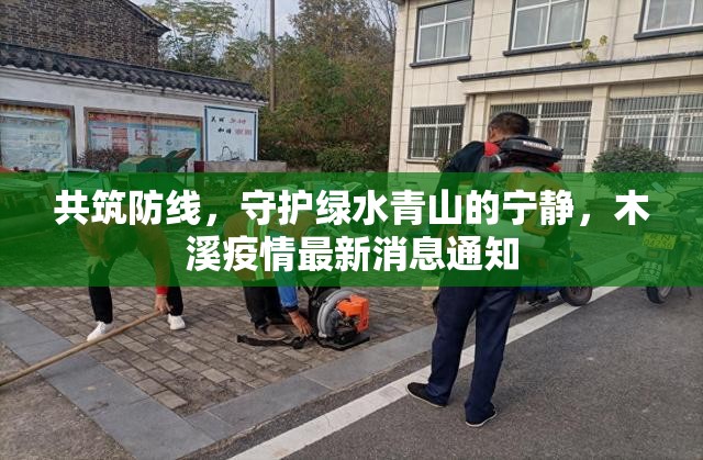 共筑防線，守護綠水青山的寧靜，木溪疫情最新消息通知