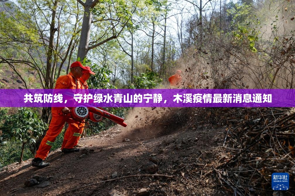 共筑防線，守護綠水青山的寧靜，木溪疫情最新消息通知