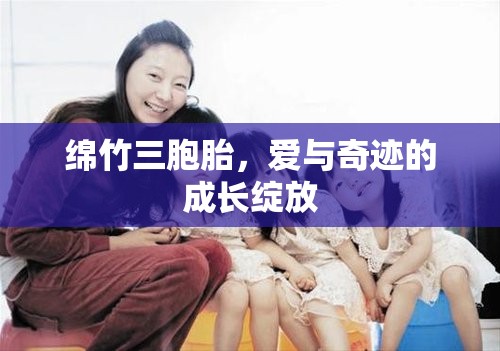 綿竹三胞胎，愛(ài)與奇跡的成長(zhǎng)綻放