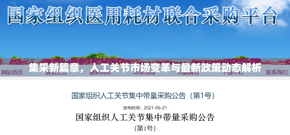 集采新篇章，人工關(guān)節(jié)市場變革與最新政策動態(tài)解析