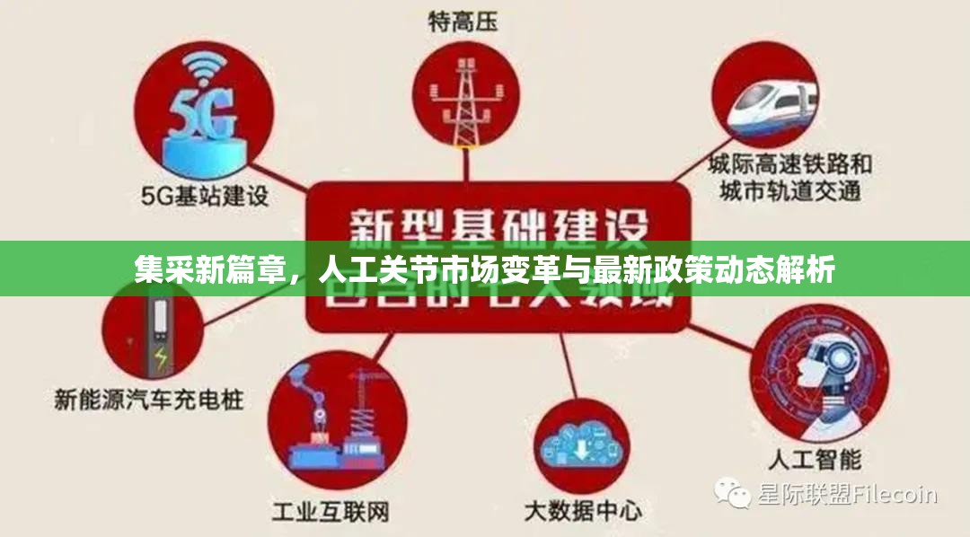 集采新篇章，人工關(guān)節(jié)市場變革與最新政策動態(tài)解析