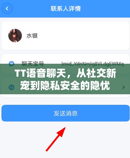 TT語音聊天，從社交新寵到隱私安全的隱憂