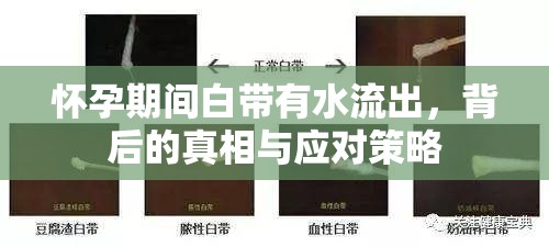 懷孕期間白帶有水流出，背后的真相與應(yīng)對(duì)策略