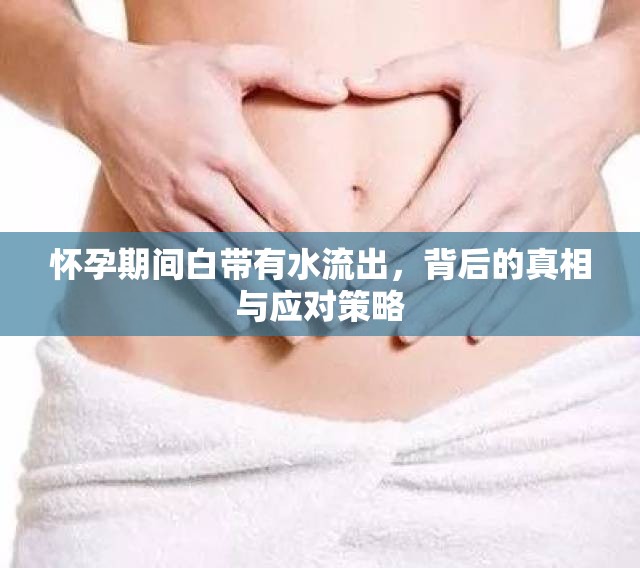 懷孕期間白帶有水流出，背后的真相與應(yīng)對(duì)策略