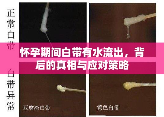懷孕期間白帶有水流出，背后的真相與應(yīng)對(duì)策略