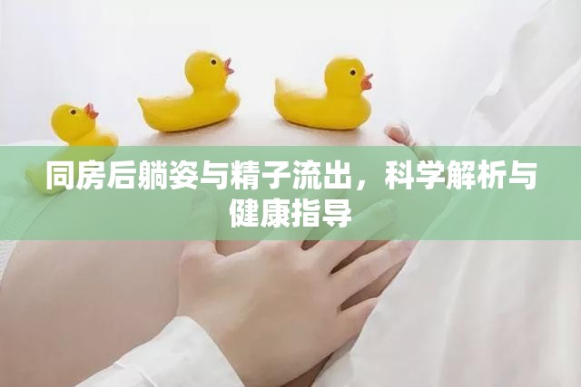 同房后躺姿與精子流出，科學(xué)解析與健康指導(dǎo)