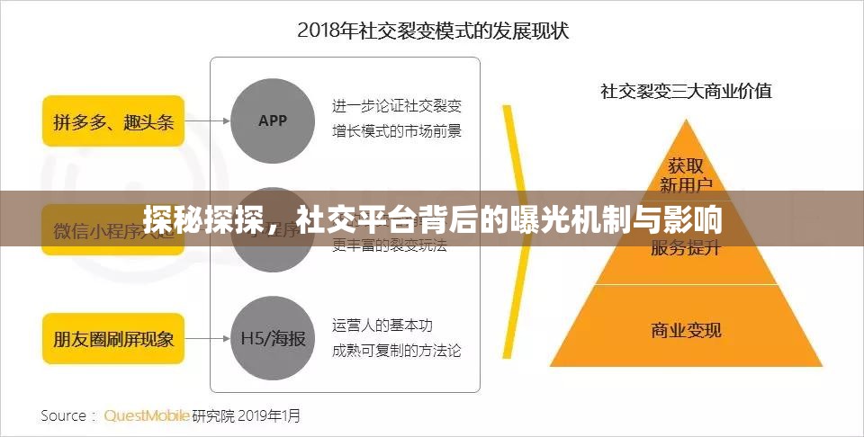探秘探探，社交平臺背后的曝光機制與影響