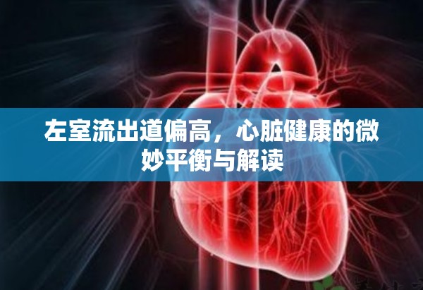 左室流出道偏高，心臟健康的微妙平衡與解讀