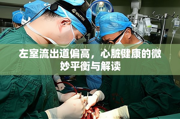 左室流出道偏高，心臟健康的微妙平衡與解讀