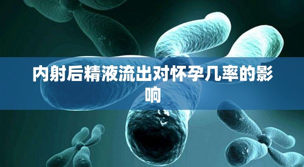 內(nèi)射后精液流出對(duì)懷孕幾率的影響