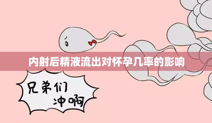 內(nèi)射后精液流出對(duì)懷孕幾率的影響