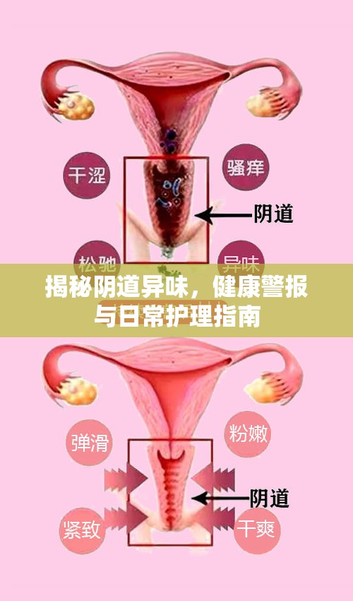 揭秘陰道異味，健康警報(bào)與日常護(hù)理指南