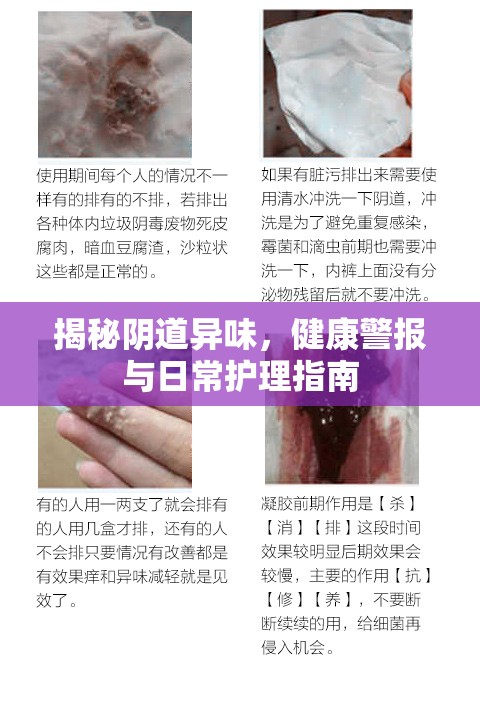 揭秘陰道異味，健康警報(bào)與日常護(hù)理指南