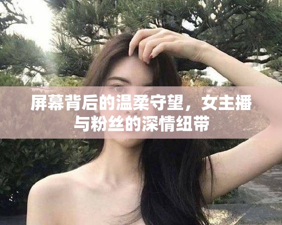 屏幕背后的溫柔守望，女主播與粉絲的深情紐帶