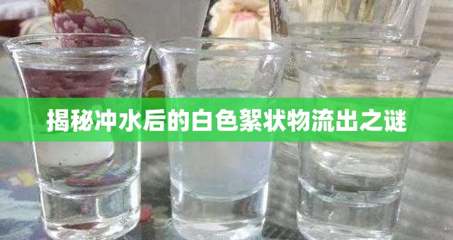揭秘沖水后的白色絮狀物流出之謎