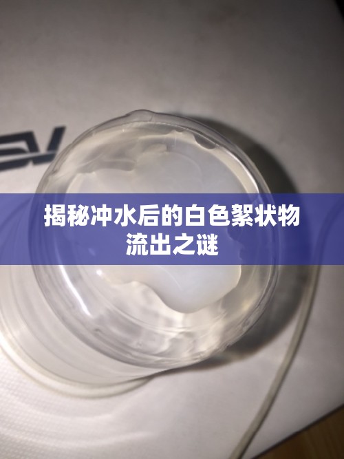 揭秘沖水后的白色絮狀物流出之謎